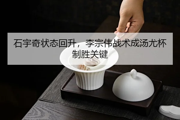 石宇奇状态回升，李宗伟战术成汤尤杯制胜关键
